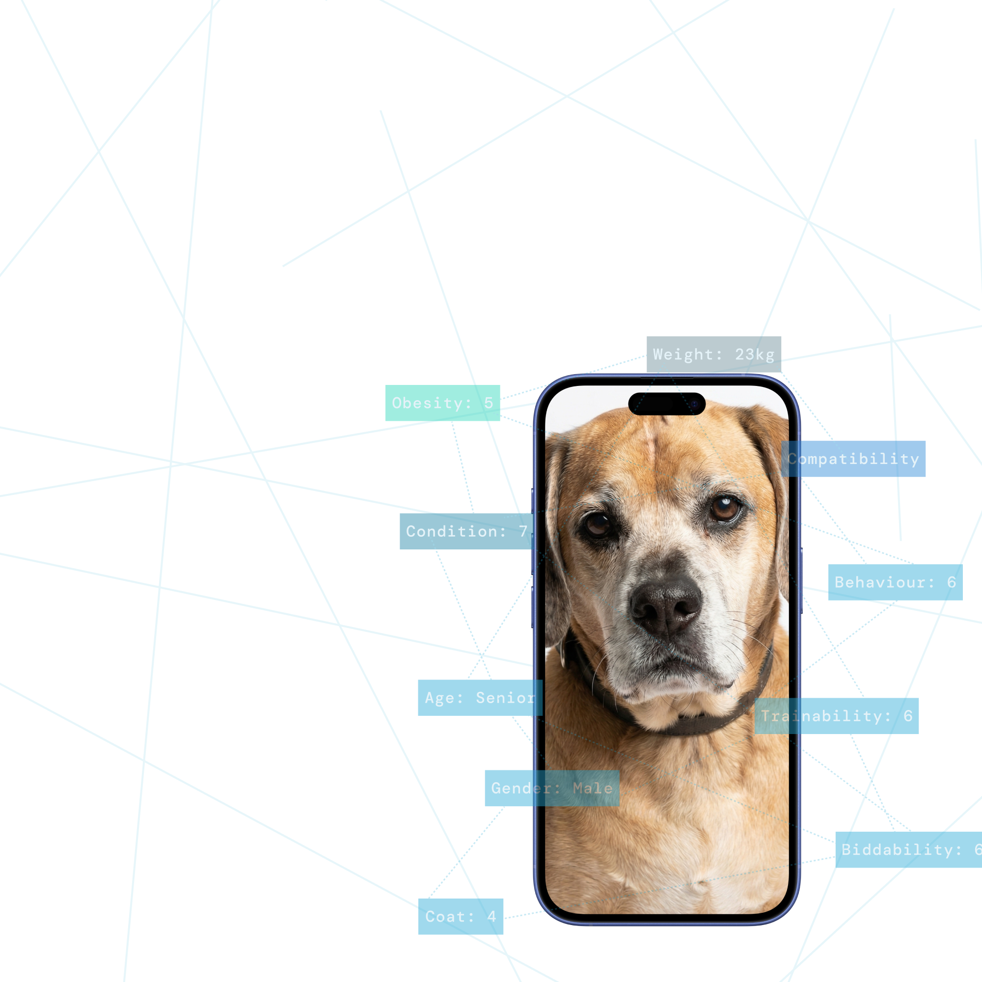 Vet verified data to transform your business
