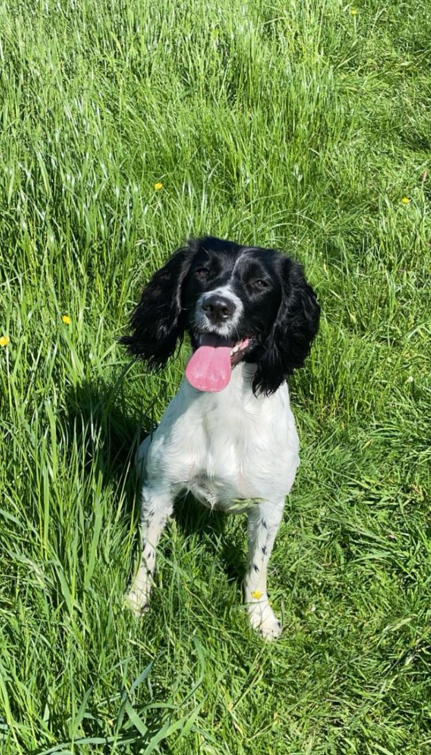 Mabel - Before Photo